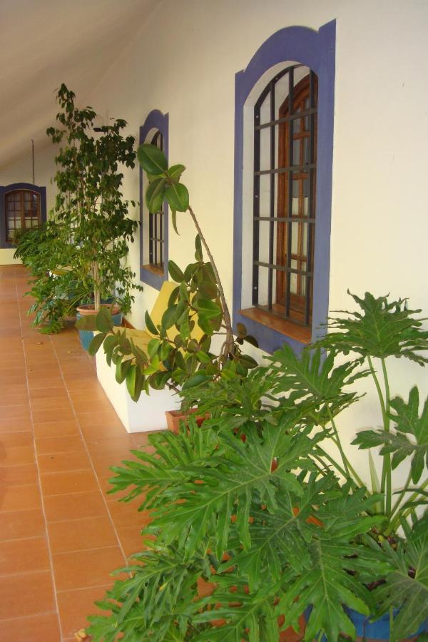 Apartamento Das Bolotas. Lavre Exterior foto